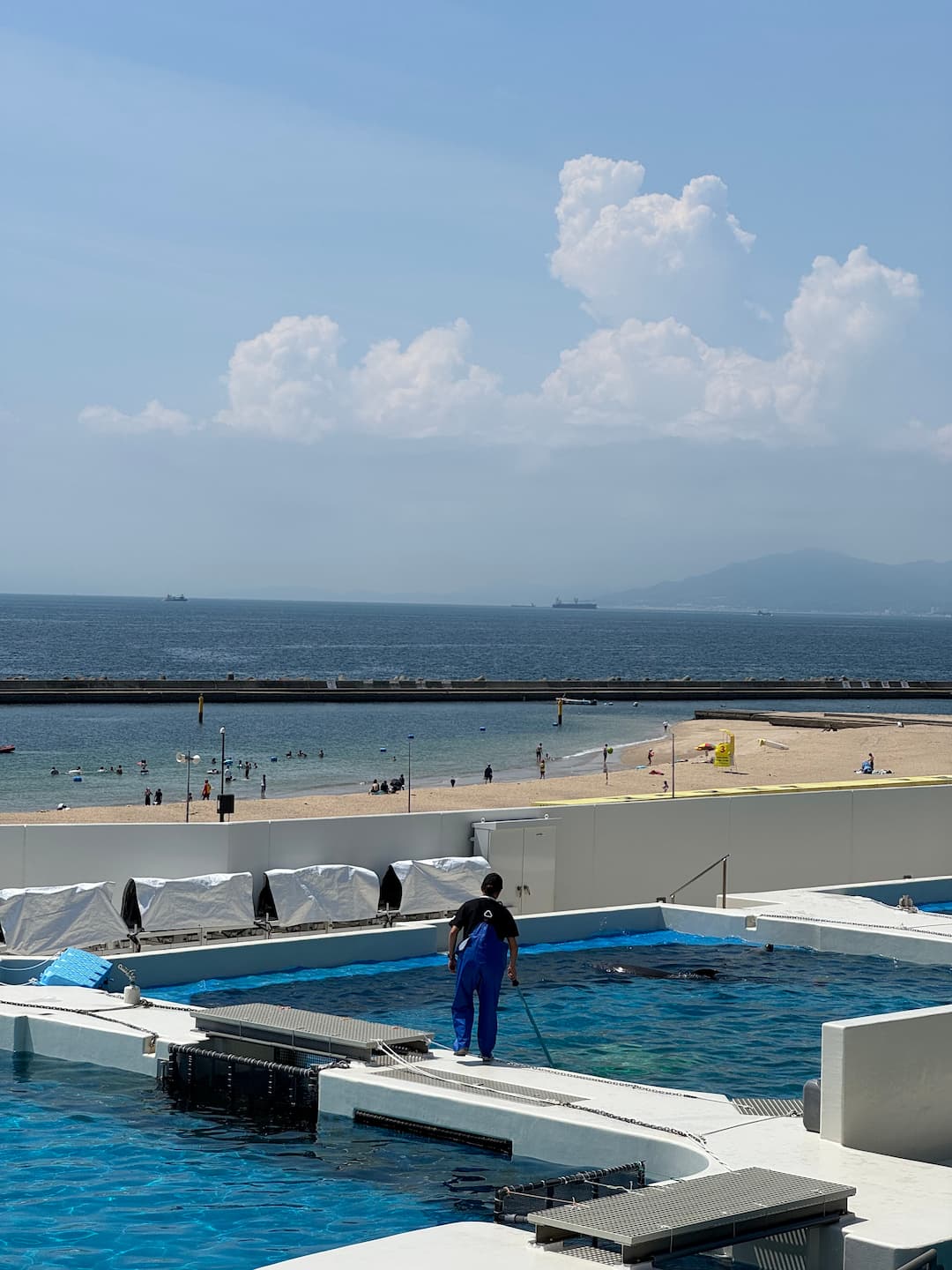 海豚表演區後面風景