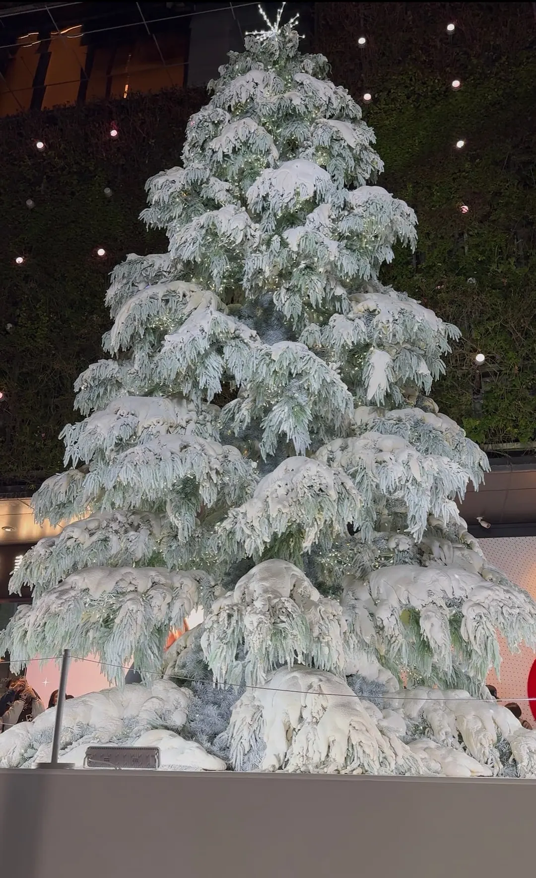 2025 勤美誠品綠園道 飄雪聖誕樹