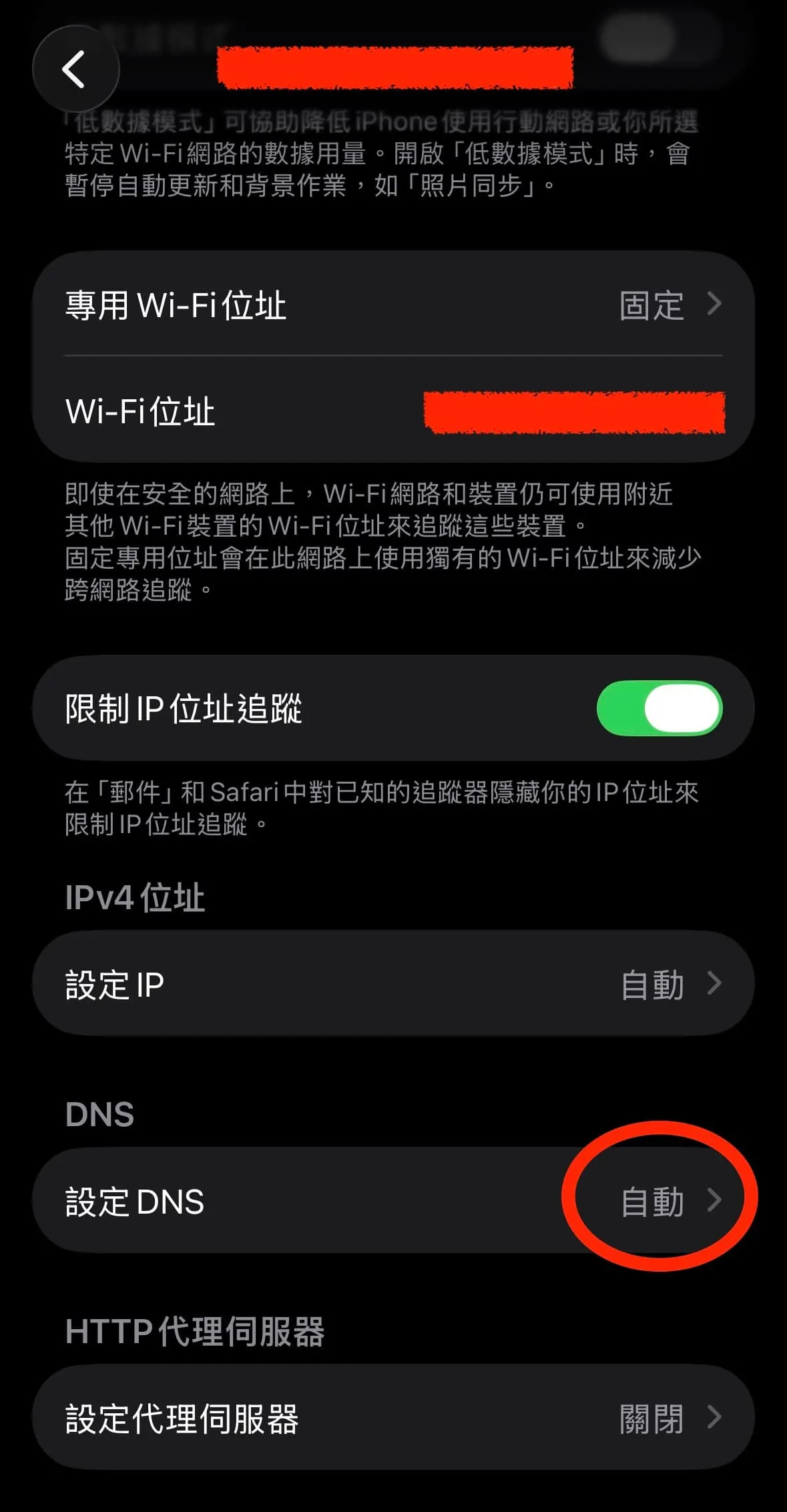 DNS，點選設定DNS